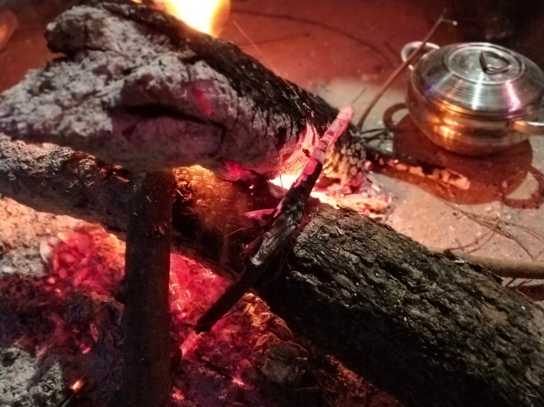 Tribal Woods Kanha主图