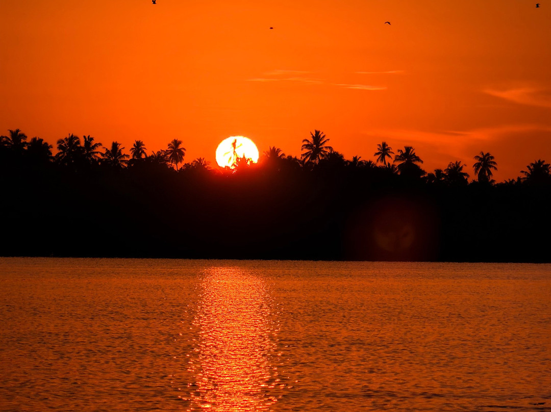 Kayak journey-Rekawa必去景点