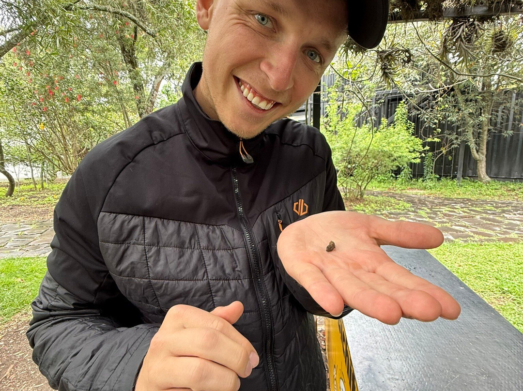 Wikiri Sapoparque-基多必去景点