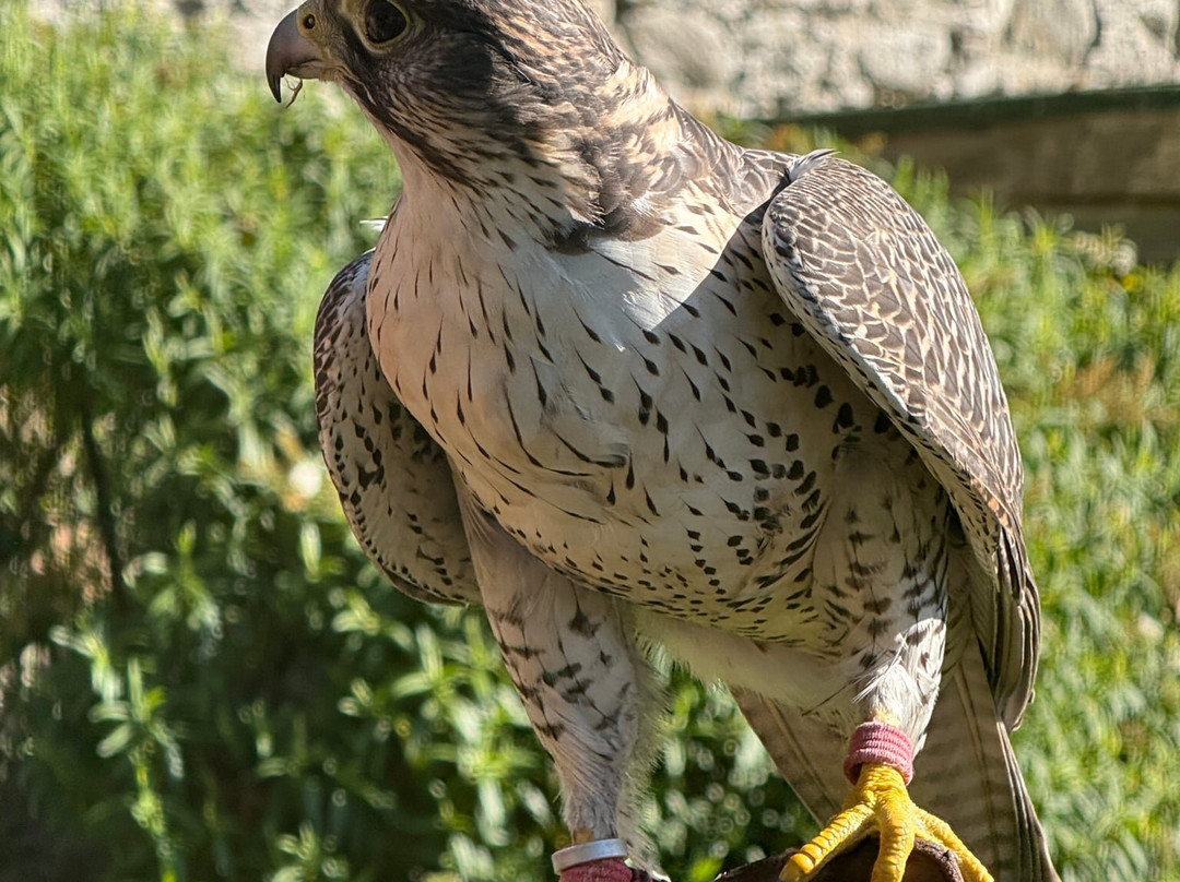 Invergordon Shore Excursions and Tours-Invergordon必去景点