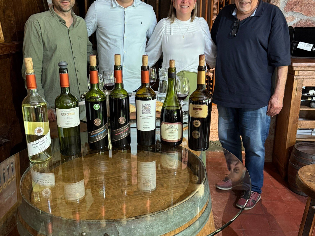 Bodegas Carrau-蒙得维的亚必去景点