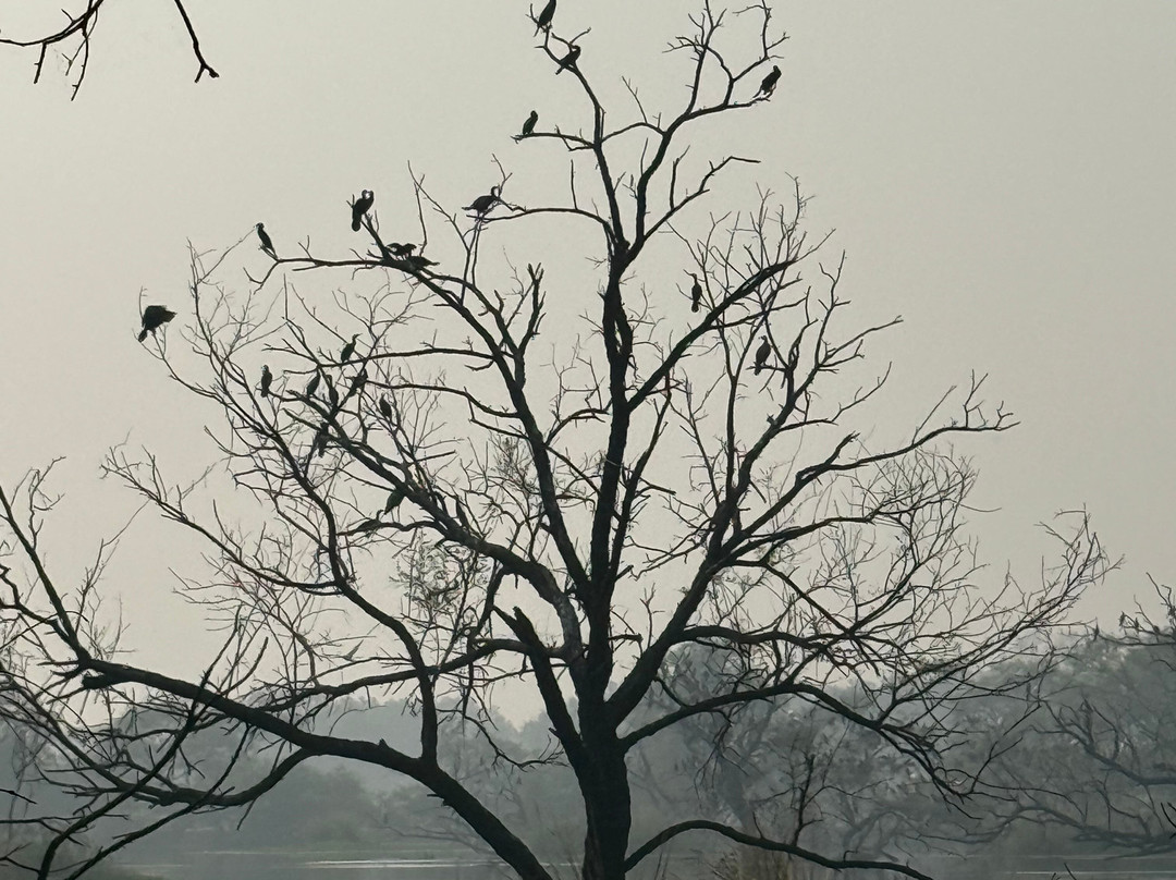 Wildlife Explorer India-新德里必去景点