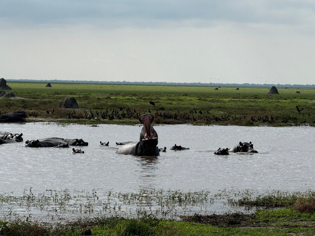 Gondwana Tours & Safaris-马翁必去景点