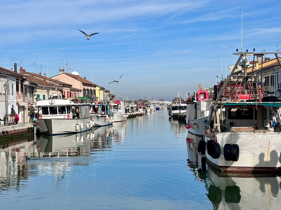 Il Battello Bed & Breakfast主图