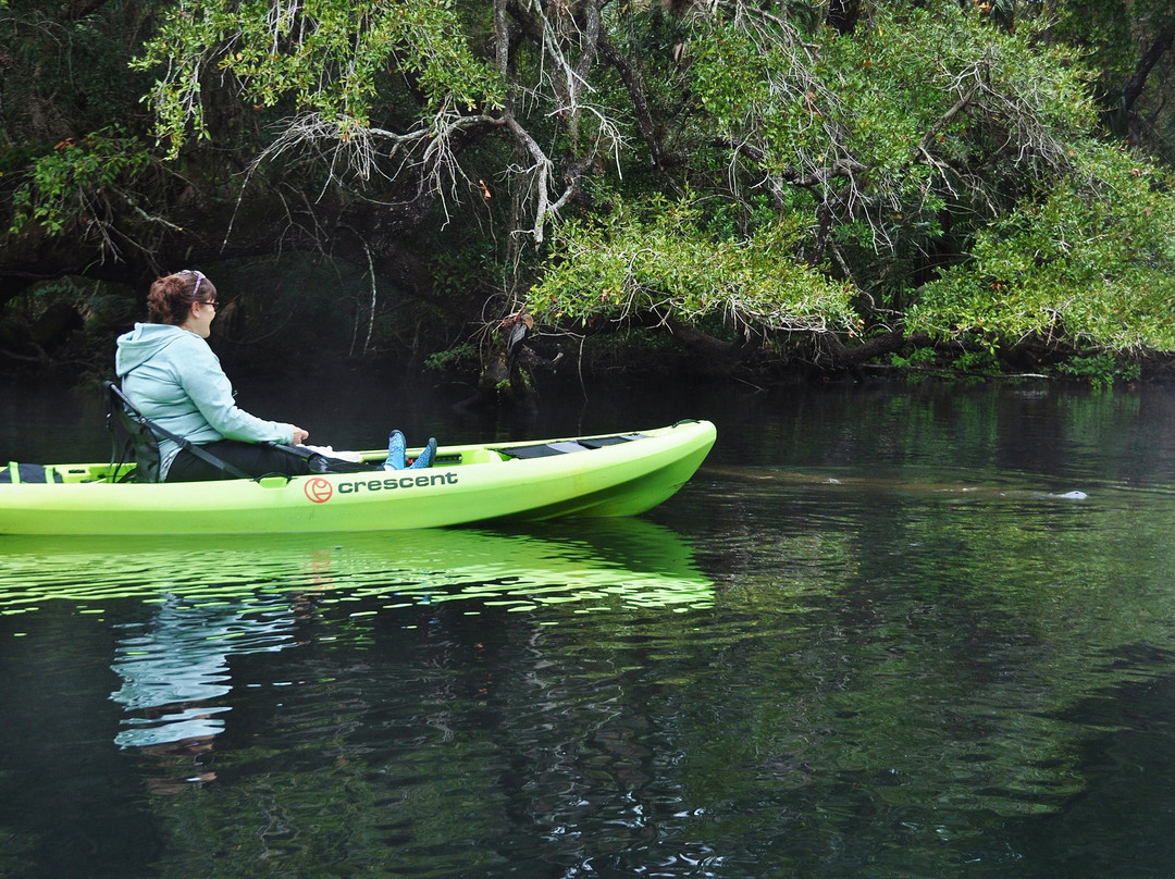 Nature Coast Eco Tours-Homosassa必去景点