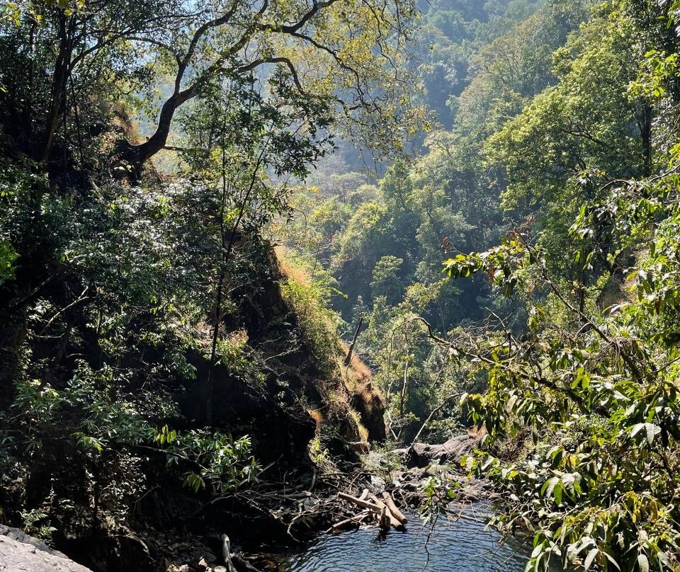 Goa Jungle Adventure-Palolem必去景点