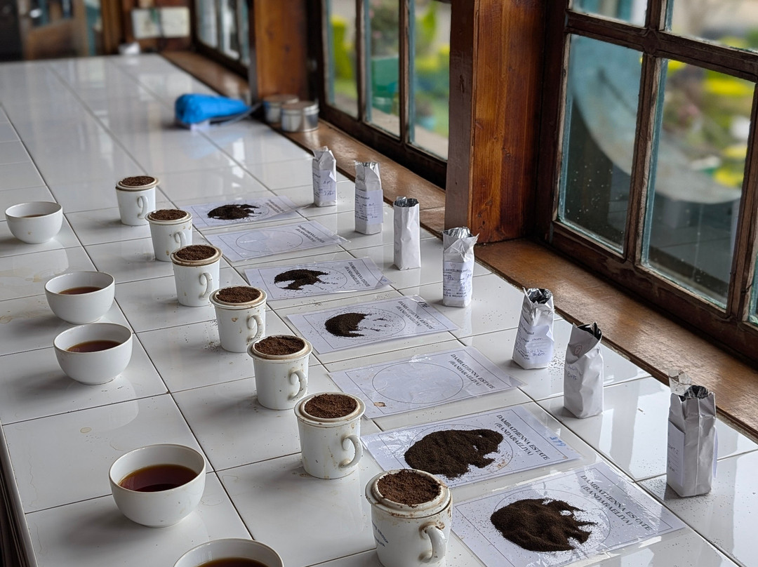 Dambatenne Tea Factory-哈普特莱必去景点