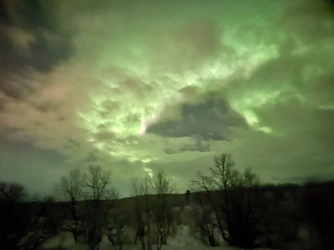 Aurora Service Tours-Utsjoki必去景点