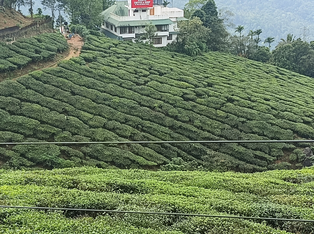 My Kerala Taxi Cab-Perumbavoor必去景点