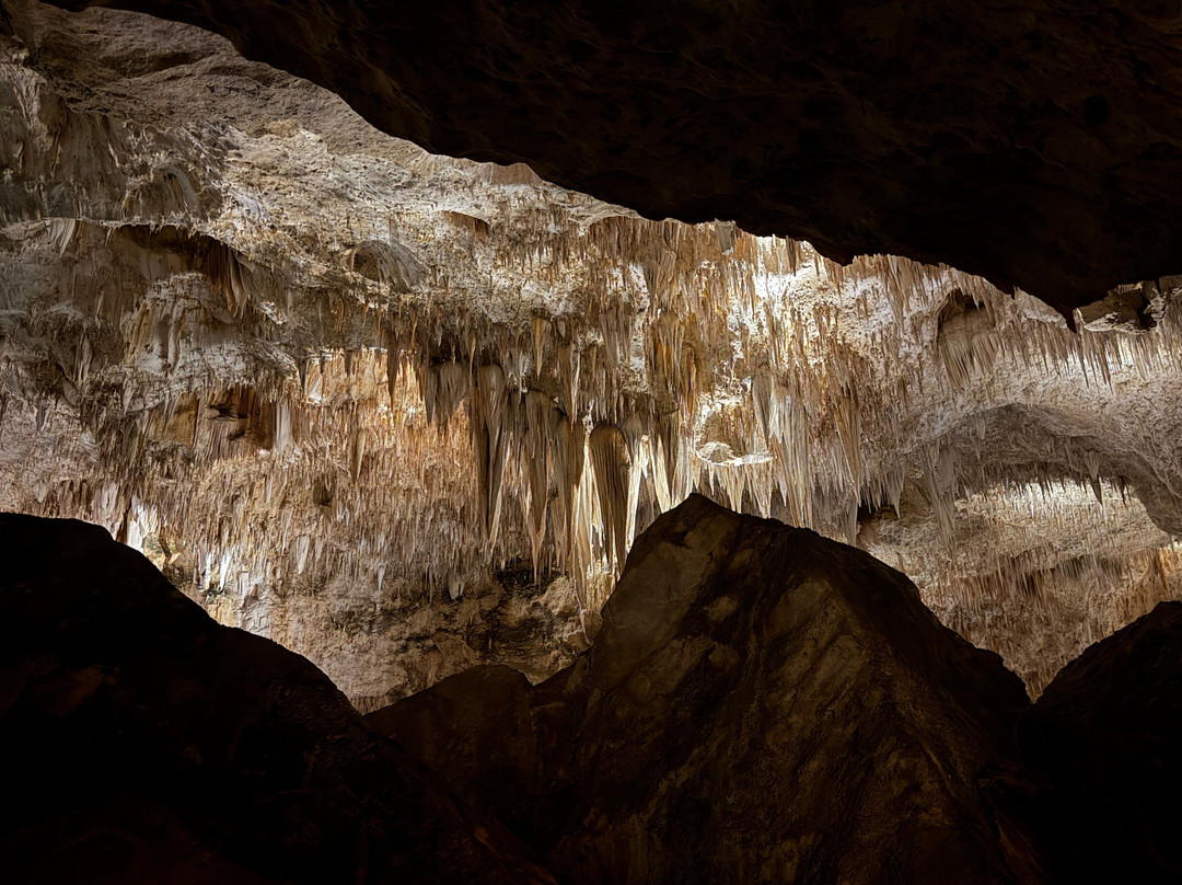 King's Palace-卡尔斯巴德洞穴国家公园必去景点