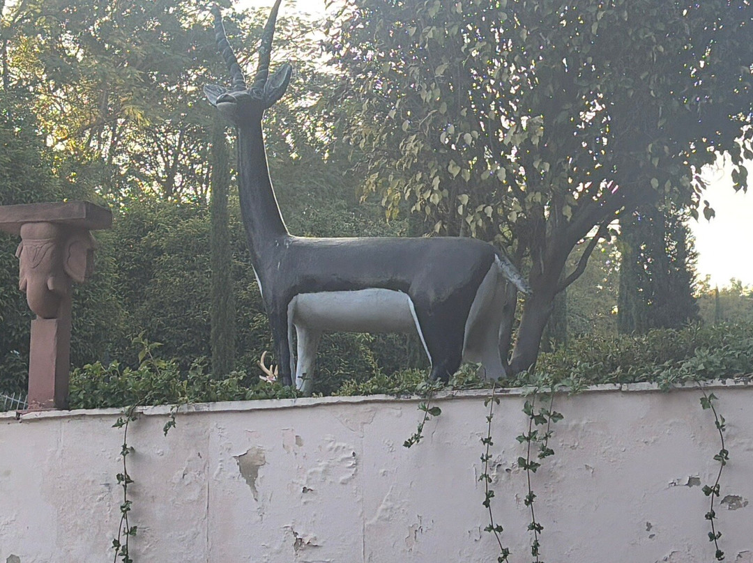 Rajiv Gandhi Park-乌代布尔必去景点