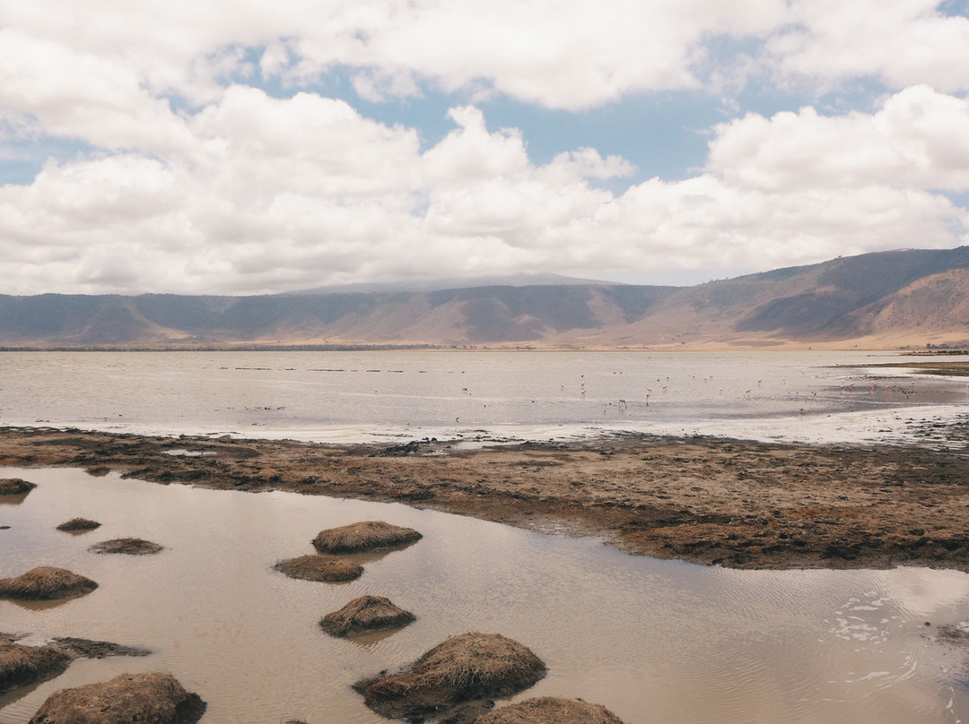 Kimgoni Tanzania Safaris-阿鲁沙必去景点