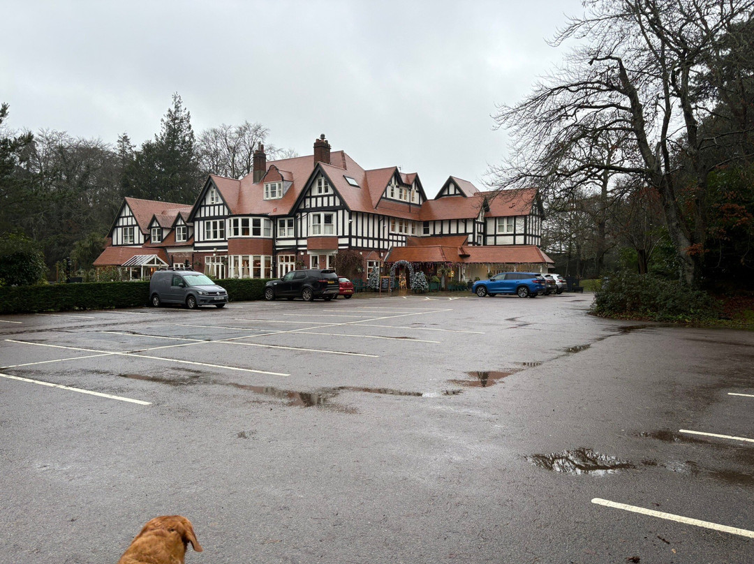 富勒白鹿酒店主图