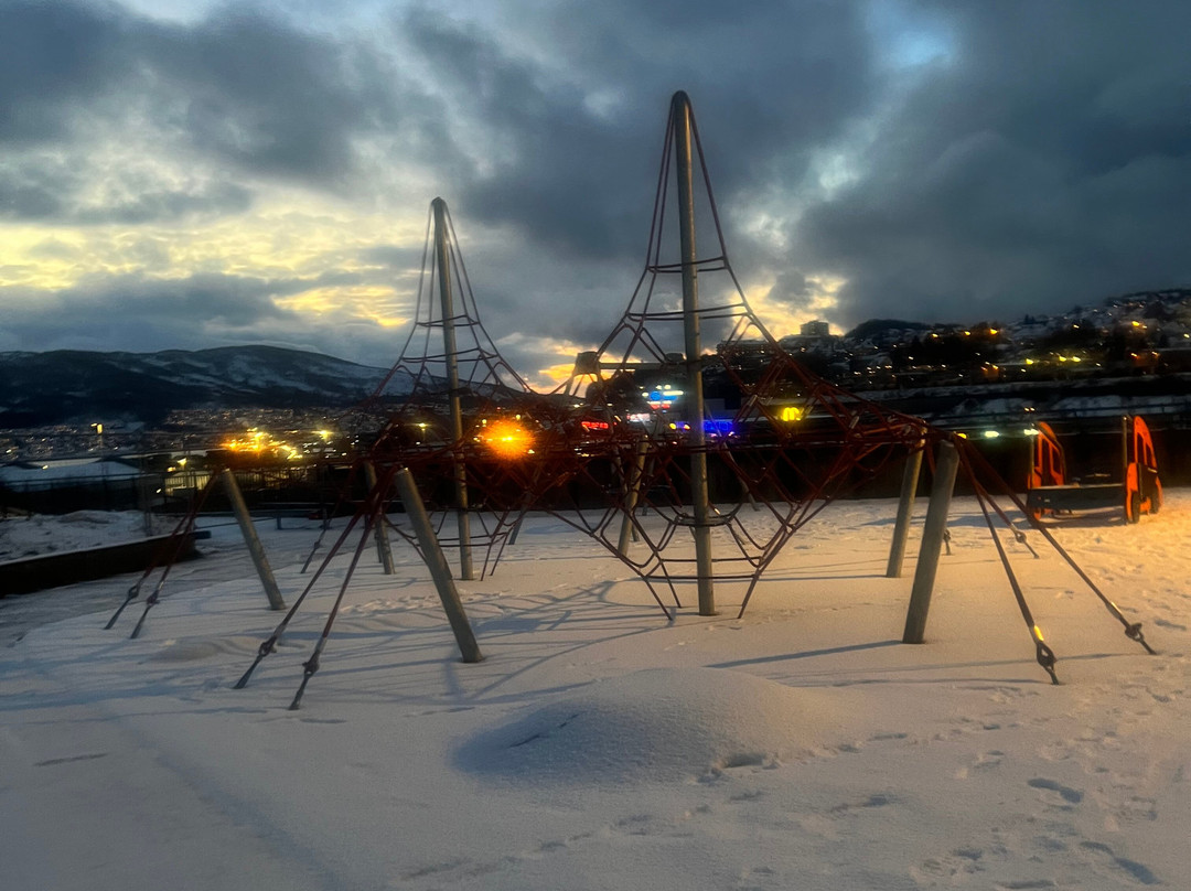 Trinigon 3-纳尔维克必去景点