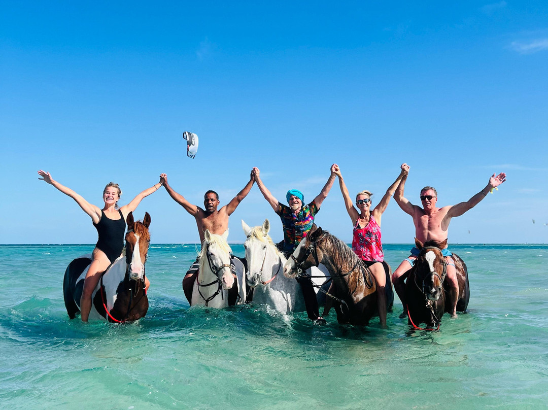 Ride Egypt-赫尔格达必去景点