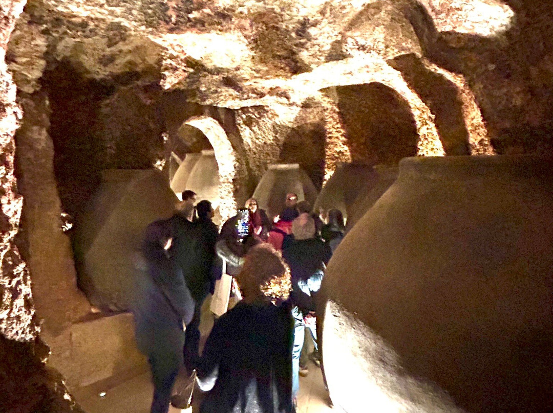 Bodegas Y Viñedos Pedro Garcia-Colmenar de Oreja必去景点