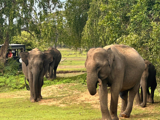 Alvar Tours-卡图纳耶克必去景点