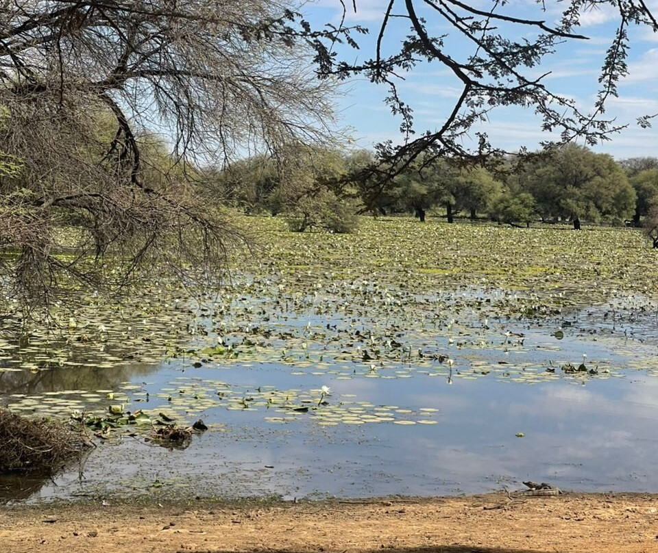 Tar-Tour Mauritanie-Chinguetti必去景点
