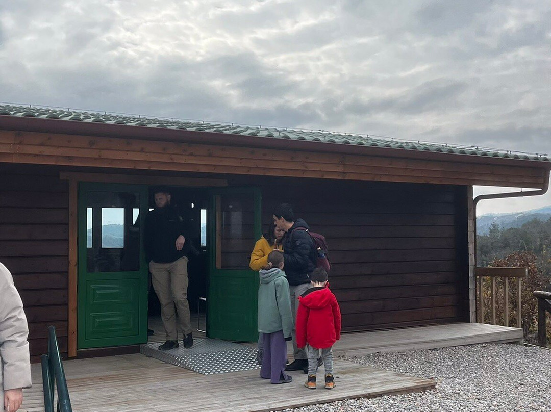 Dadia-Lefkimi-Soufli Forest National Park-Dadia必去景点