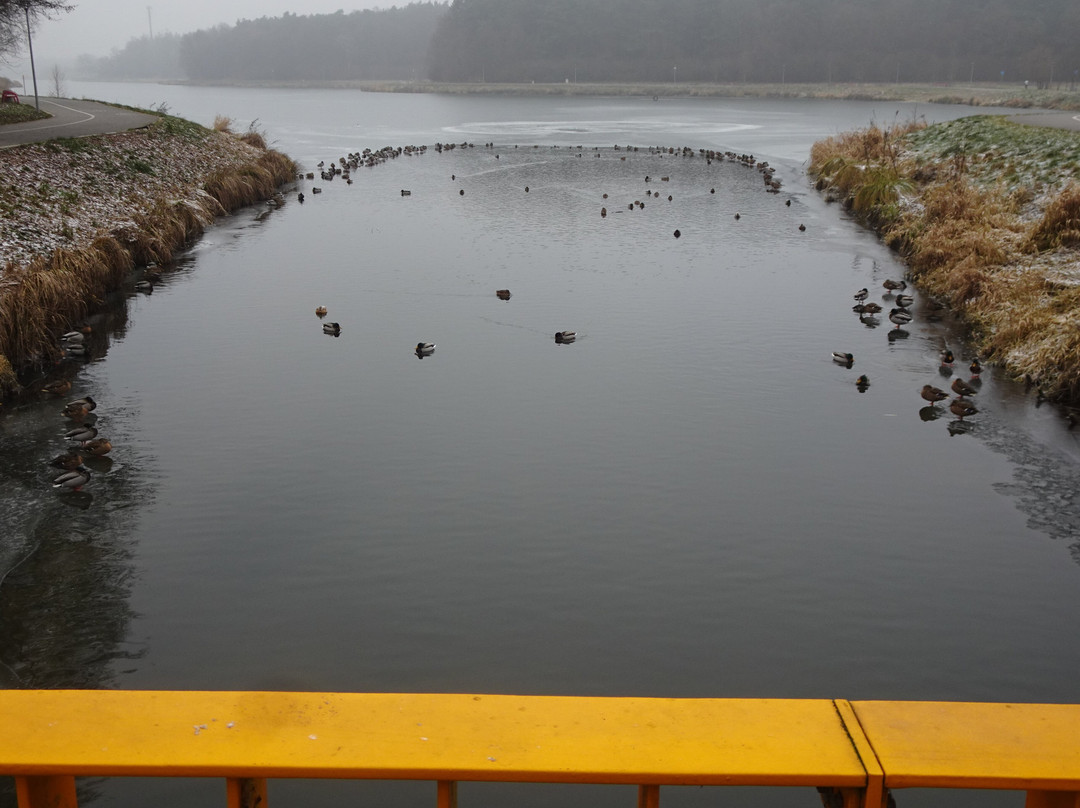 Zadebie Reservoir-Skierniewice必去景点