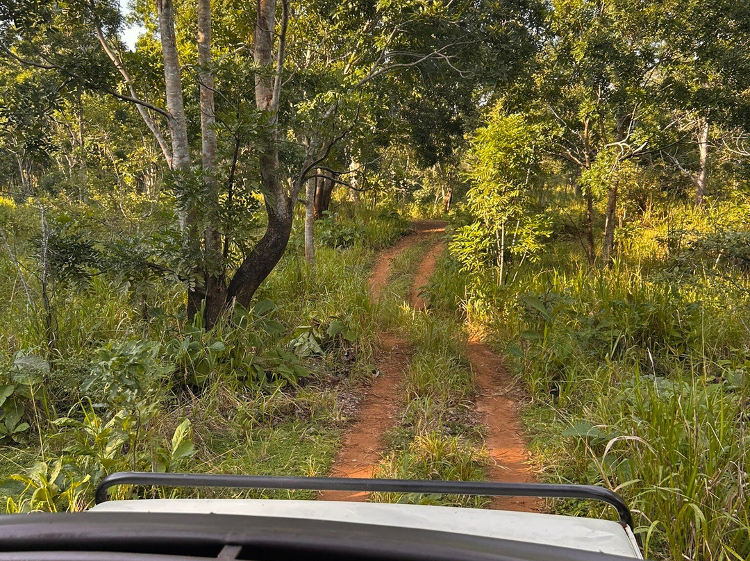 PS Tours Pasikuda-卡尔库达必去景点