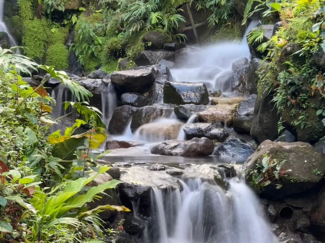 Kurú Natural Springs-福德圣卡洛斯必去景点