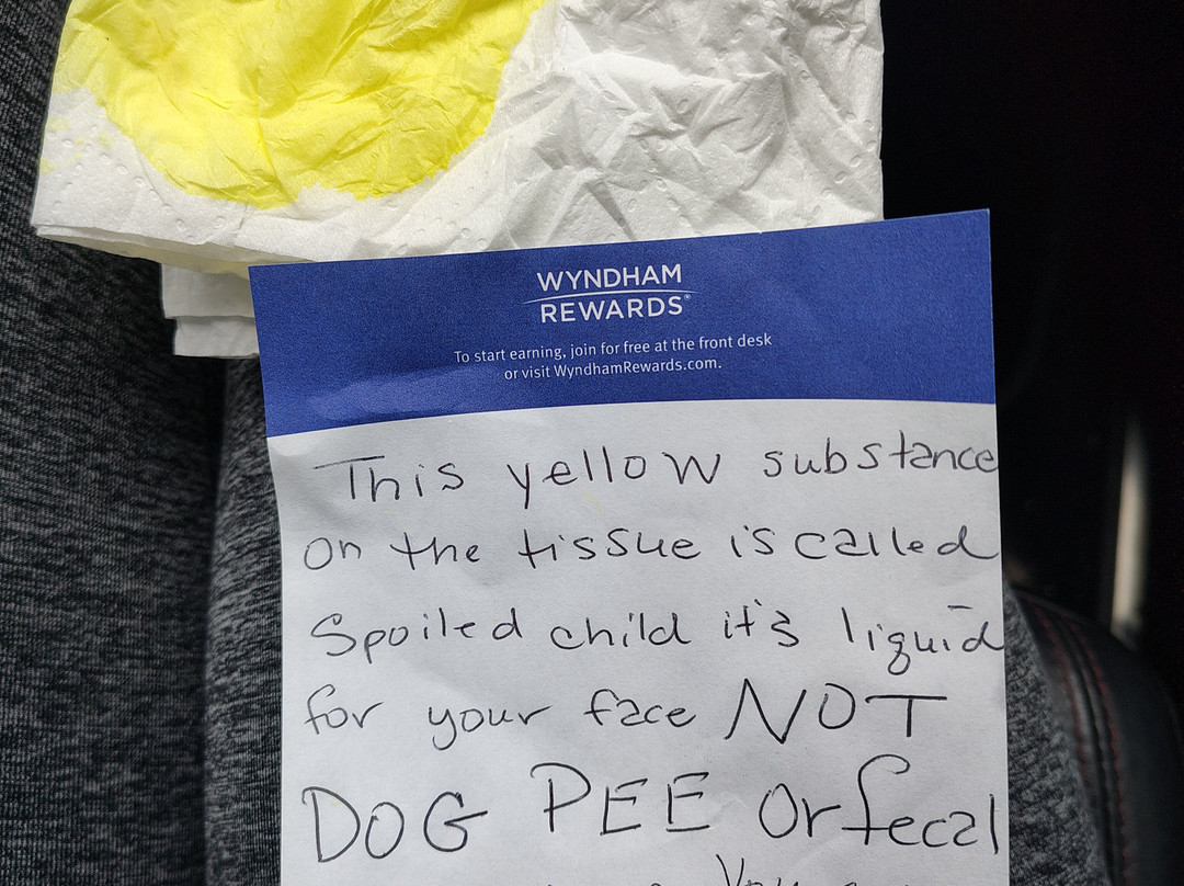 La Quinta Inn & Suites by Wyndham Goodlettsville - Nashville主图