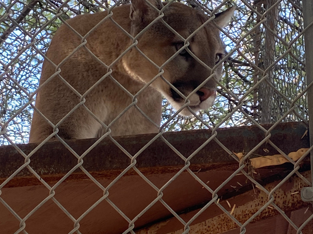 Southwest Wildlife Conservation Center-斯科茨代尔必去景点