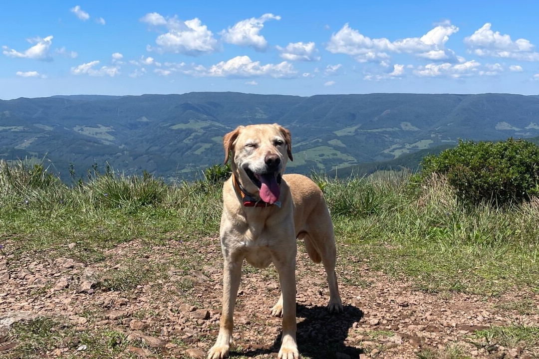 Morro dos Cabritos-Praia Grande必去景点
