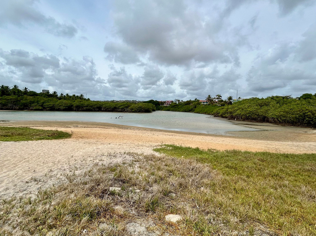Tabatinga Beach-Conde必去景点