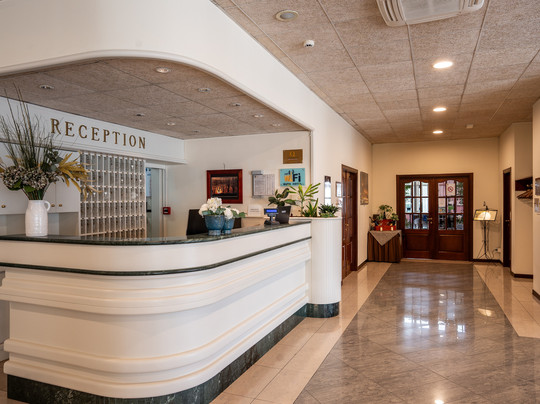 欧洲比萨东郁金香酒店主图