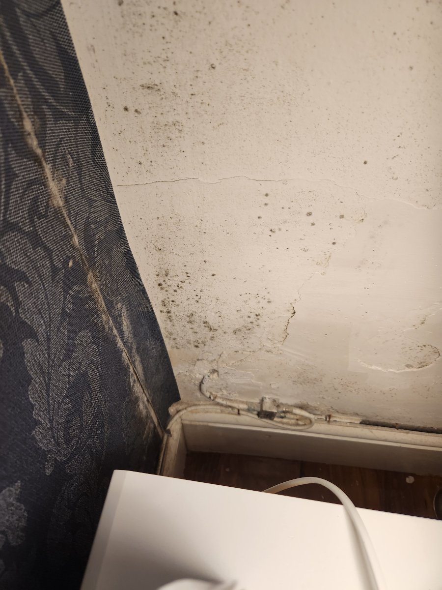 G精品酒店-官方