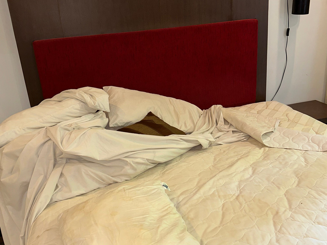 巴厘斯瓦哈酒店主图