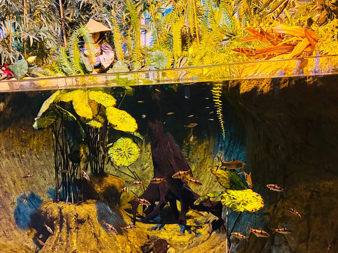 Bioparque Pantanal-大坎普市必去景点