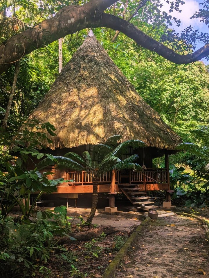 哈夫洛克赤脚酒店-官方