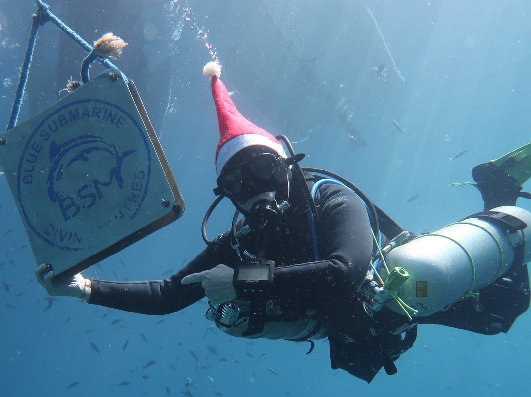 Blue Submarine Diving Center Safaga-Safaga必去景点