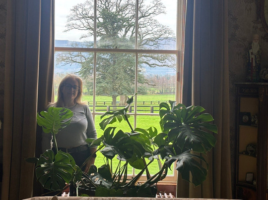 Lismacue House主图