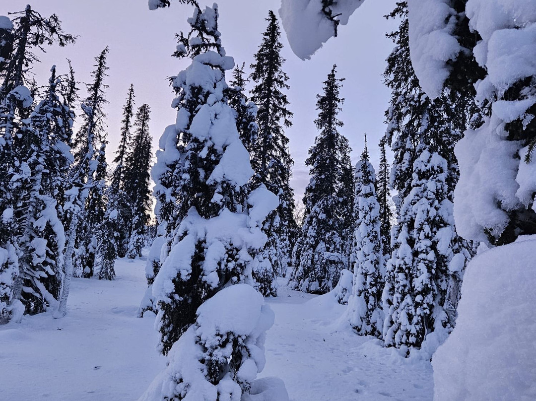 Lappitrek-Kittilä必去景点