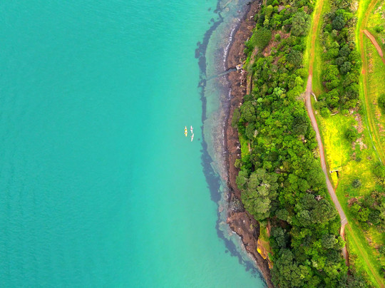 Fergs Kayaks Auckland-奥克兰中心地区必去景点