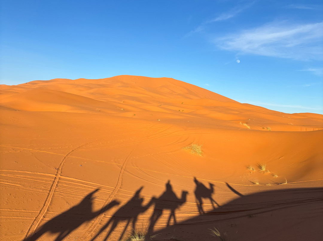Marrakech Desert Excursions-非斯必去景点