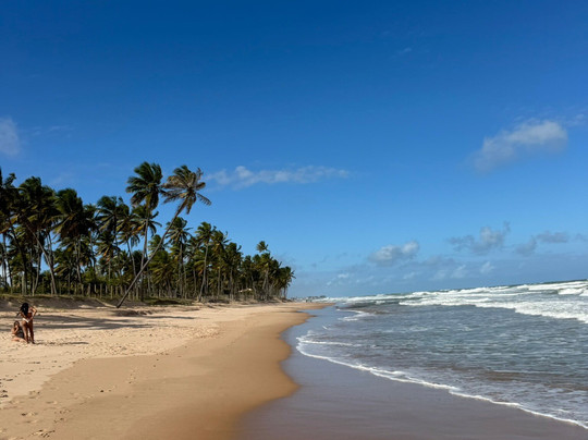 Ayahuasca Retreat Brazil-Abrantes必去景点