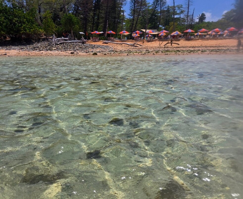 Ilha de Santo Aleixo-Sirinhaem必去景点