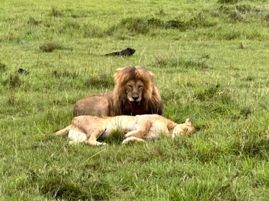 Enjoy Collection Tours and Safaris-马林地必去景点