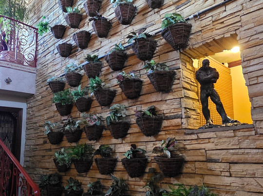 Hotel Casa Roland San Jose主图