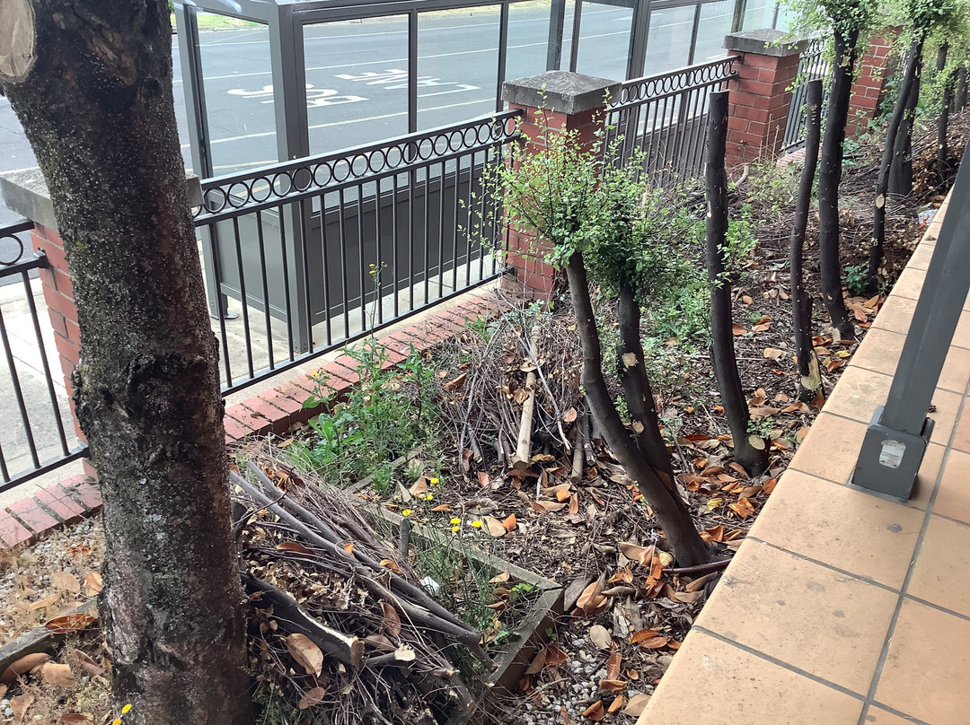 康福特套房城市风景