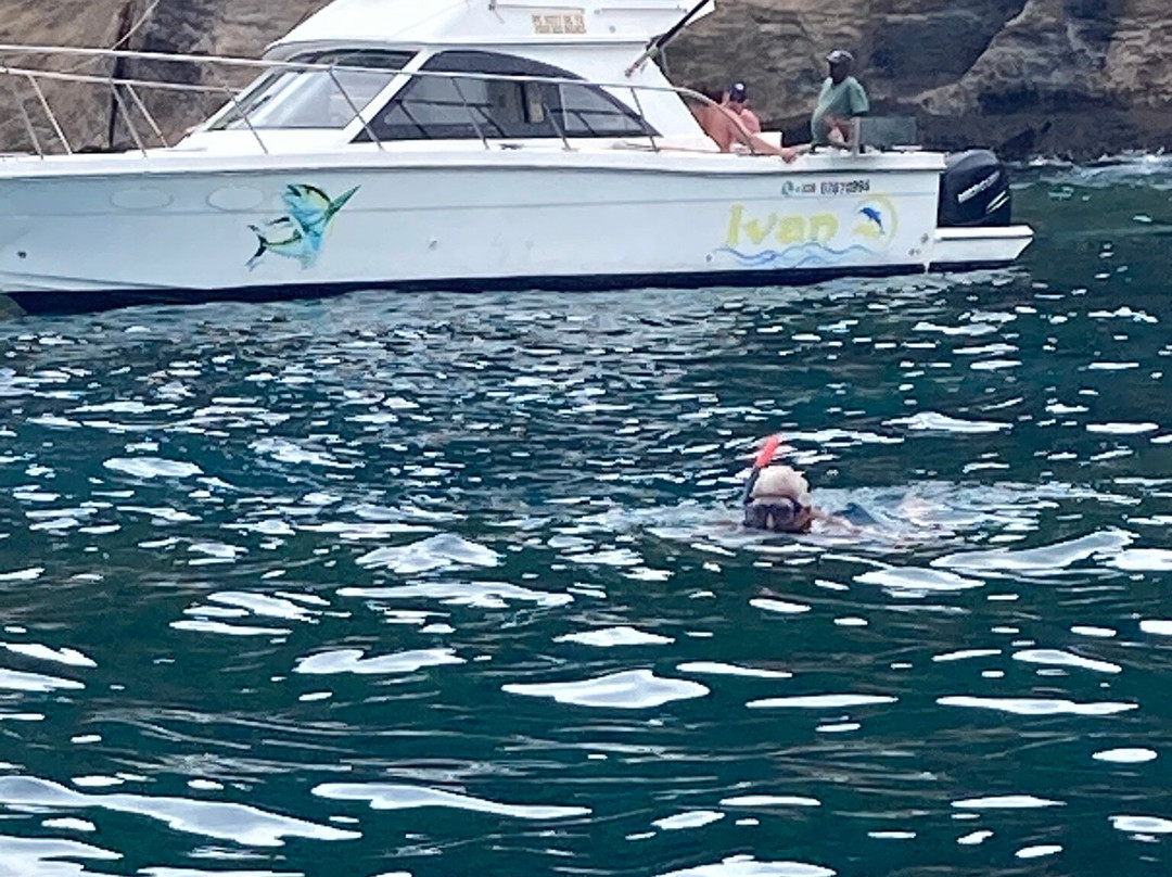 Blue Vibes-开普马欧呵必去景点