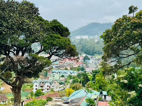 White Bridge House and Resort主图