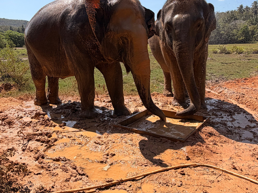 Koh Yao Elephant Beach-阁耀亚伊岛必去景点