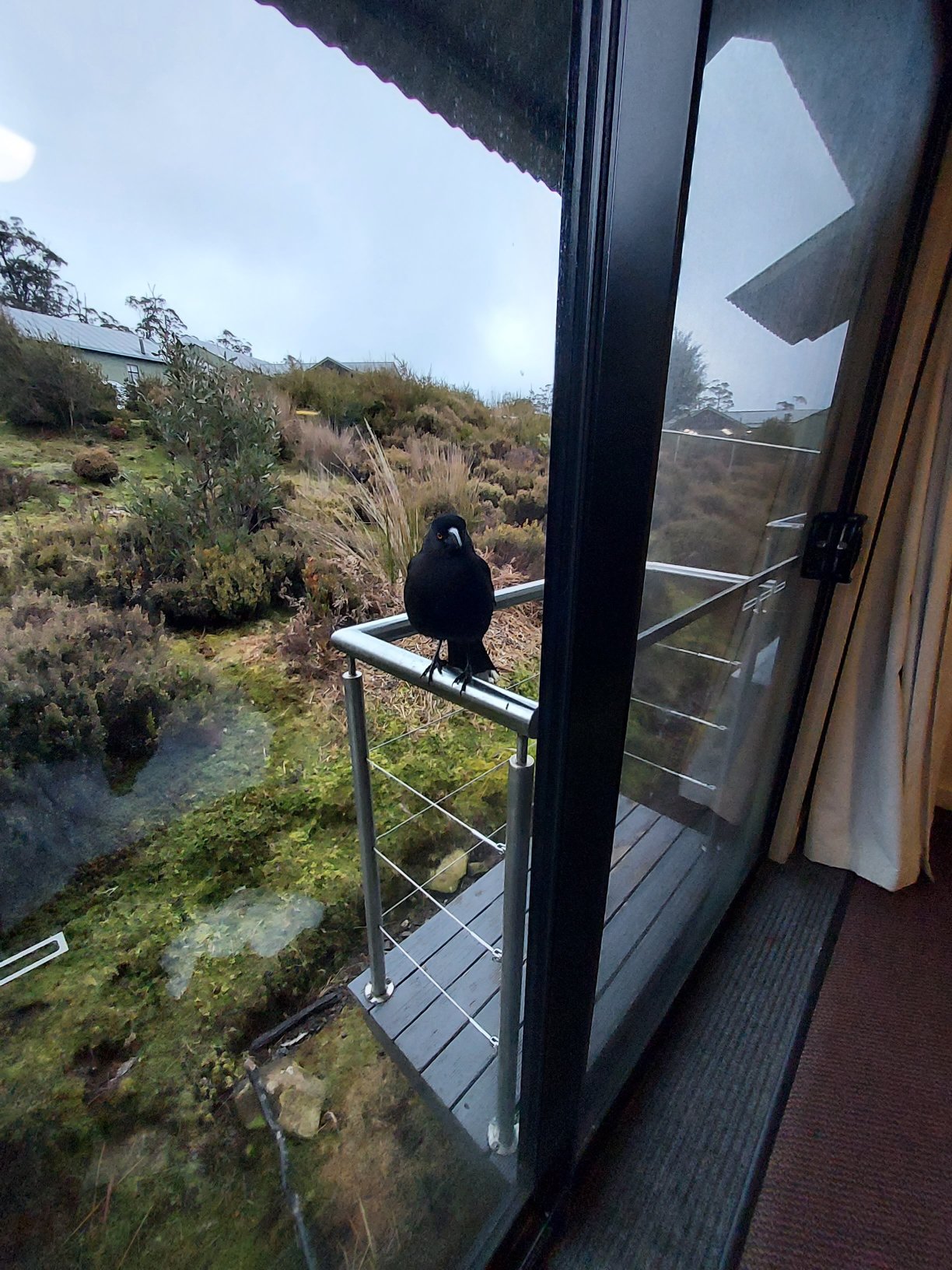 摇篮山城堡酒店-酒店景观