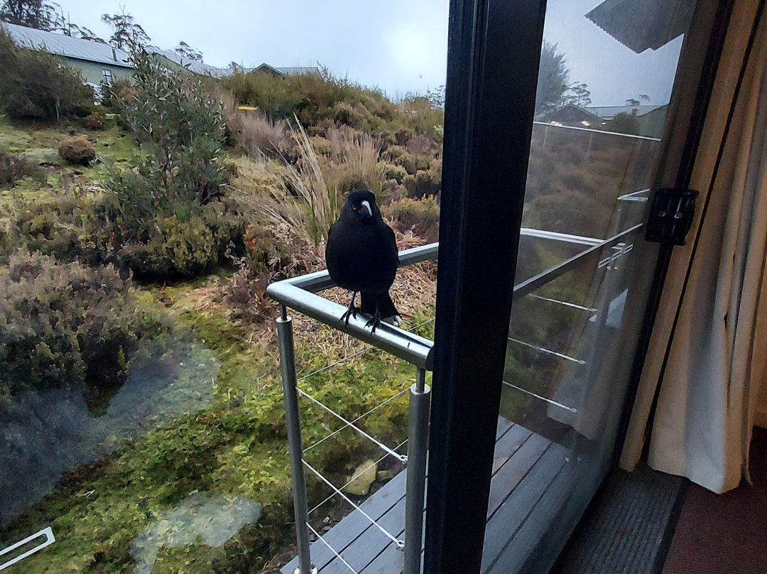 摇篮山城堡酒店主图